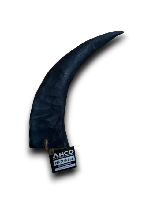 Anco Giant Buffalo horn