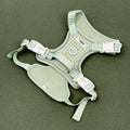 Cocopup Explore Harness Silly Goose