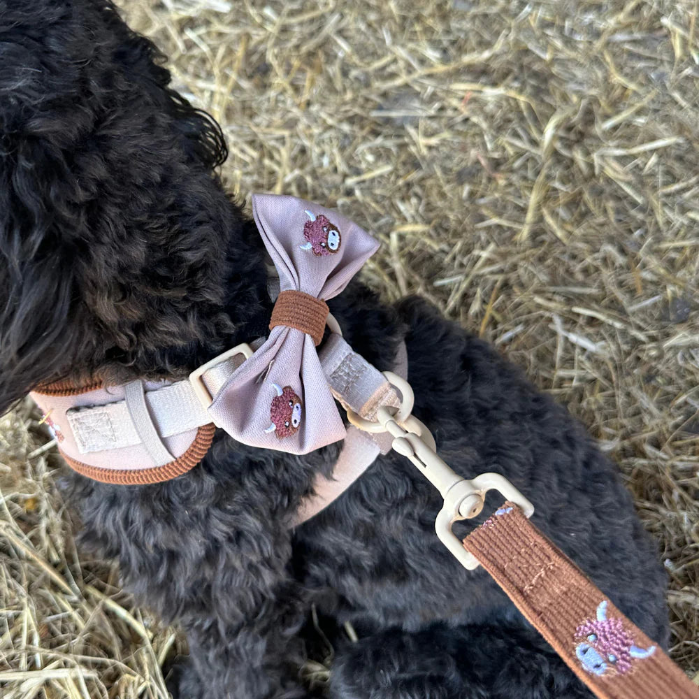 Cocopup Harold the Highland Cow Bow Tie