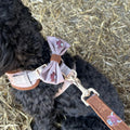 Cocopup Harold the Highland Cow Bow Tie