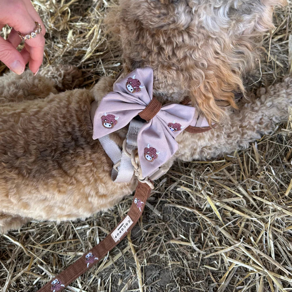 Cocopup Harold the Highland Cow Sailor Bow