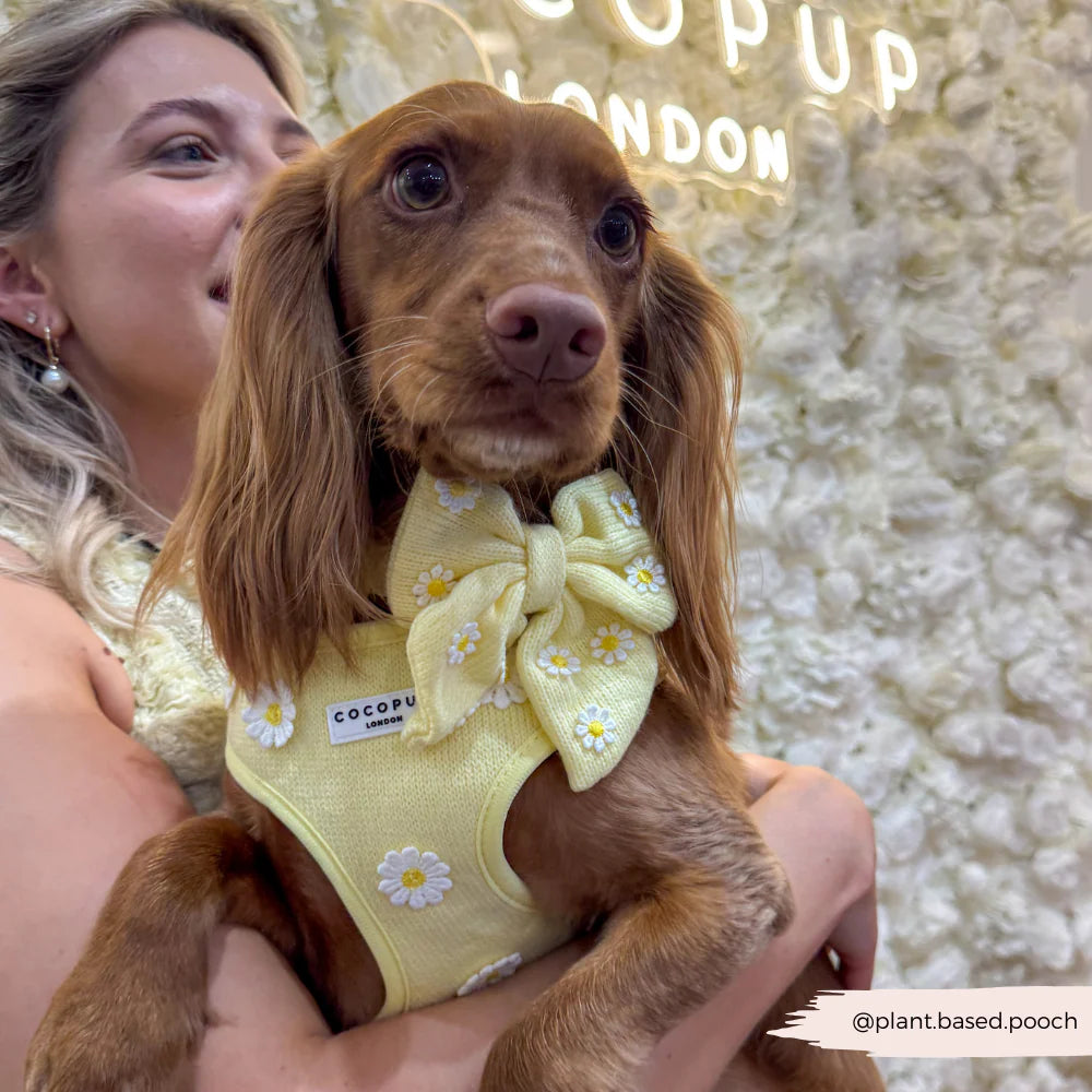 Cocopup Buttercup Pup Sailor Bow Tie