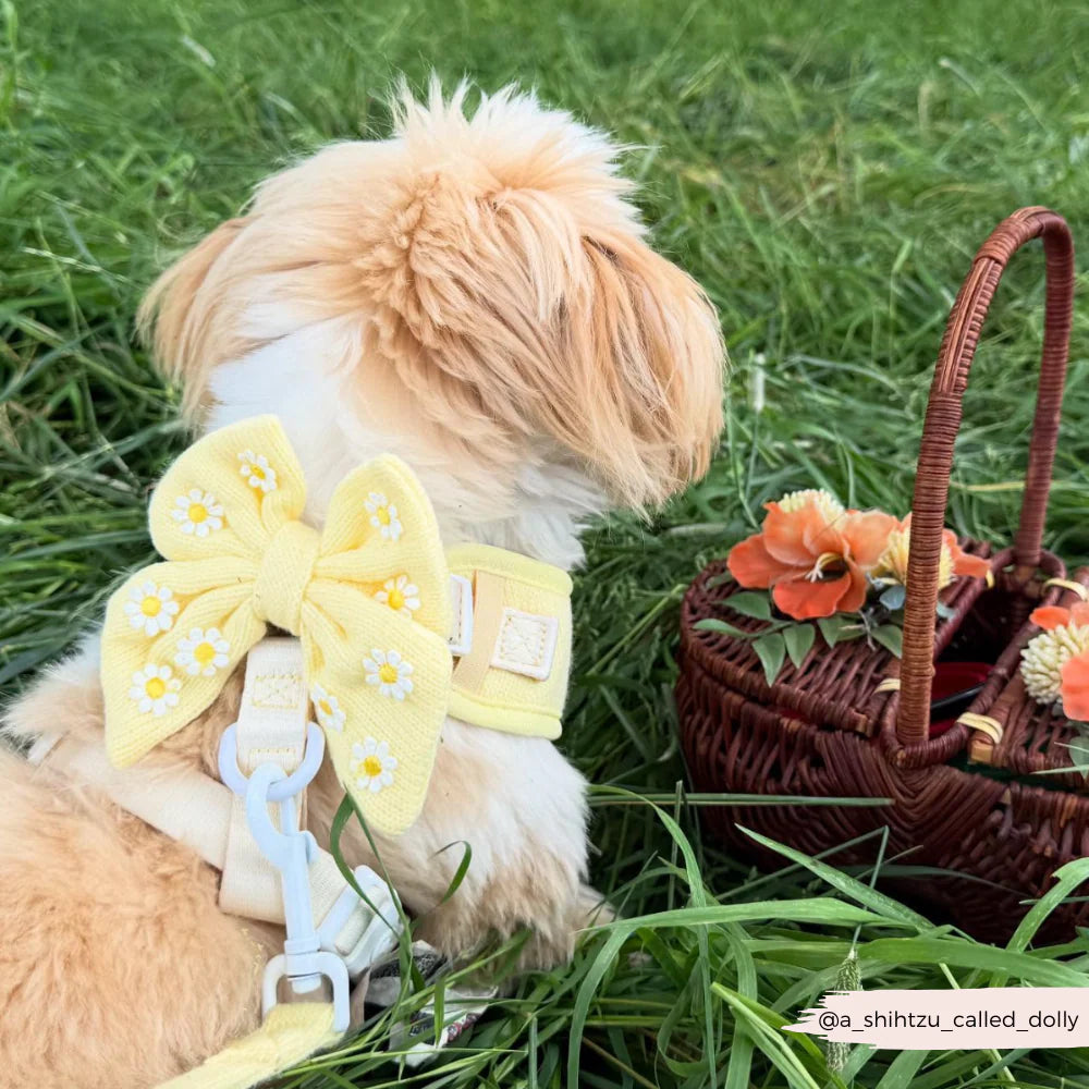 Cocopup Buttercup Pup Sailor Bow Tie