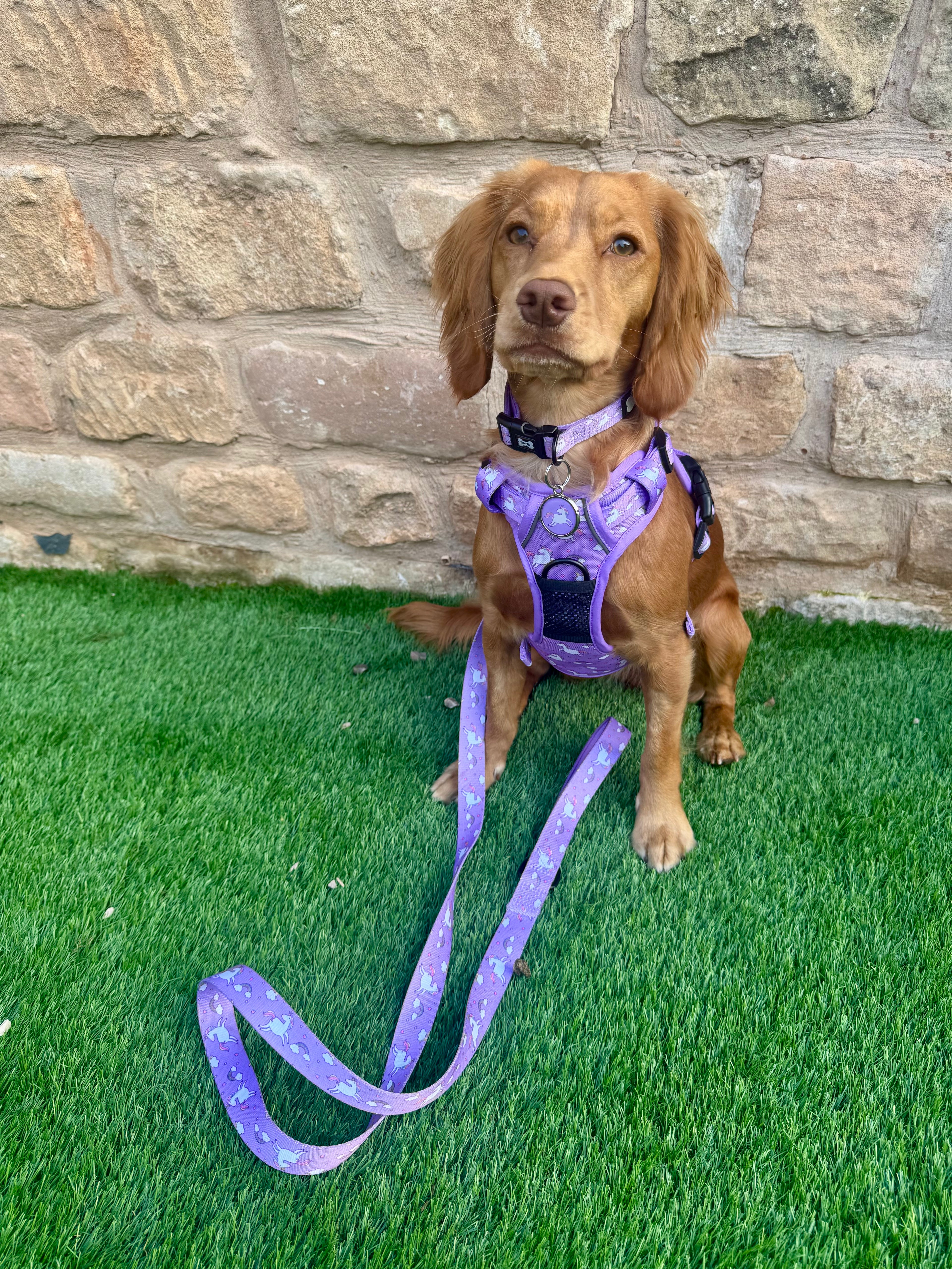 Pup Chic Daydreams & Unicorns Tactical Dog Harness