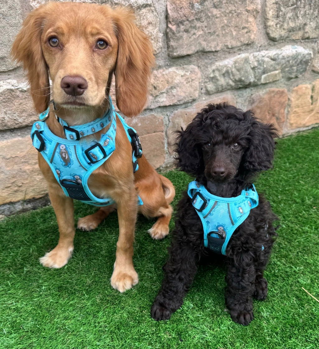 Otterly Lovely Tactical Dog Harness – Pup Chic Boutique