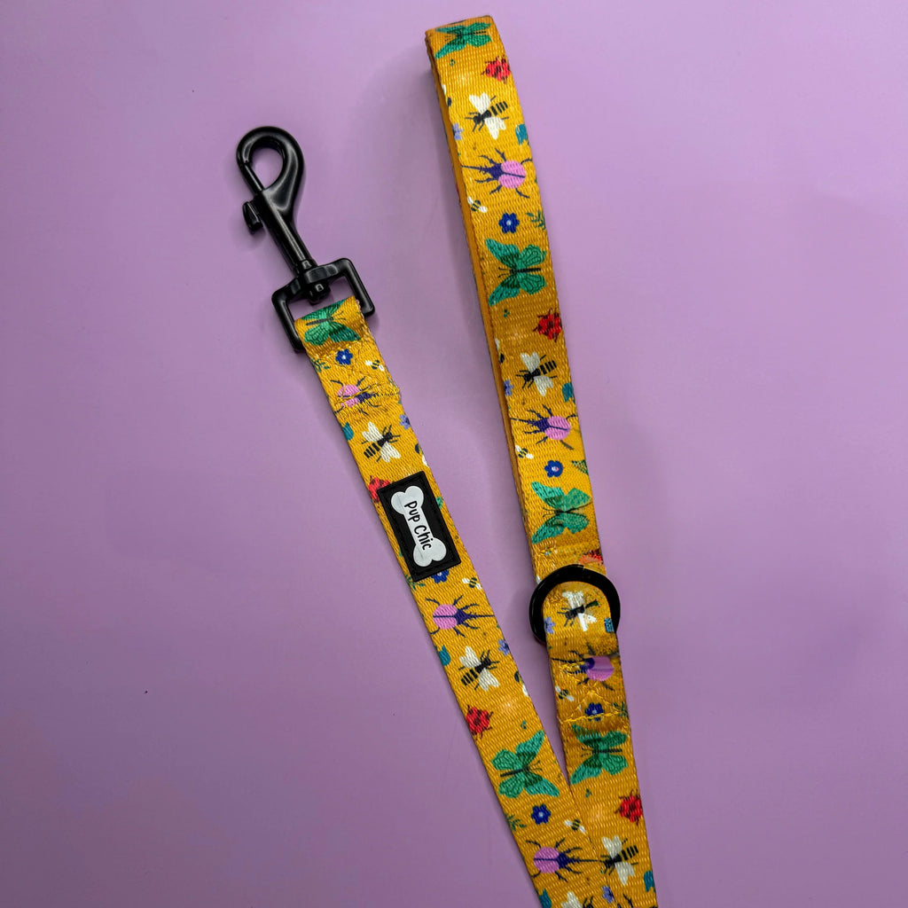 Summer Buzzin yellow 5ft Dog Lead - Pup Chic Boutique