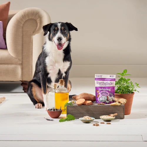 Forthglade Calming Soft Bite Treats 90g
