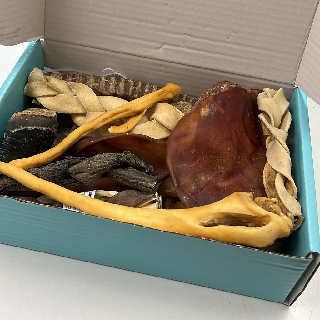 Box containing various natural pet toys on a white surface