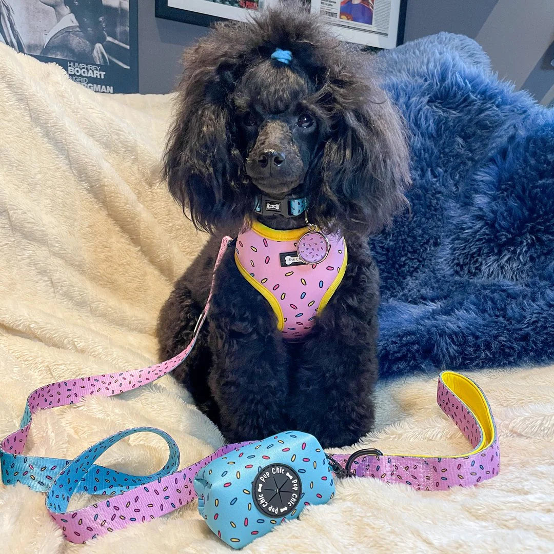 Sprinkles 5ft dog lead - Pup Chic Boutique