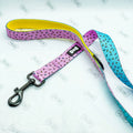 Sprinkles 5ft dog lead - Pup Chic Boutique