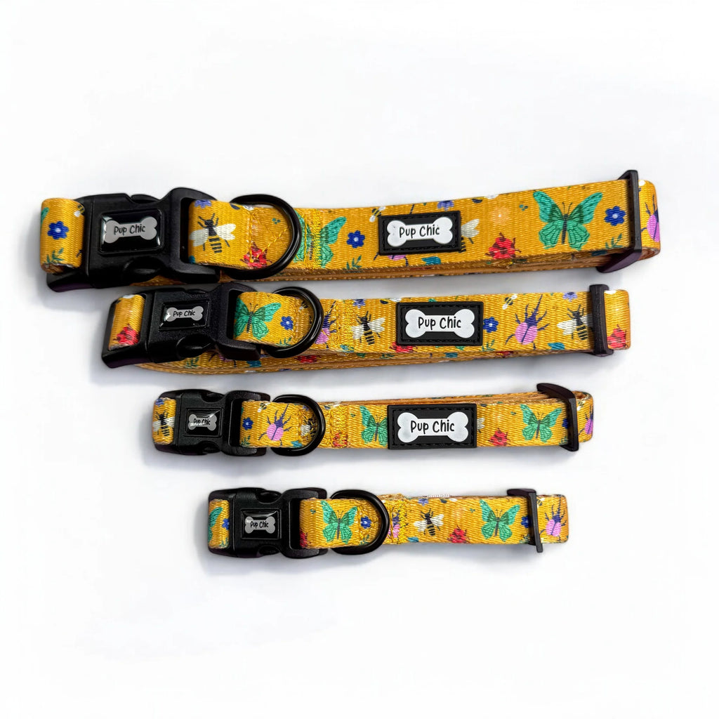 Summer Buzzin yellow dog collar