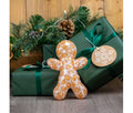 Ancol Squeaky Gingerbread dog toy with a golden-brown and white patterned body, pictured against a dark green Christmas present.