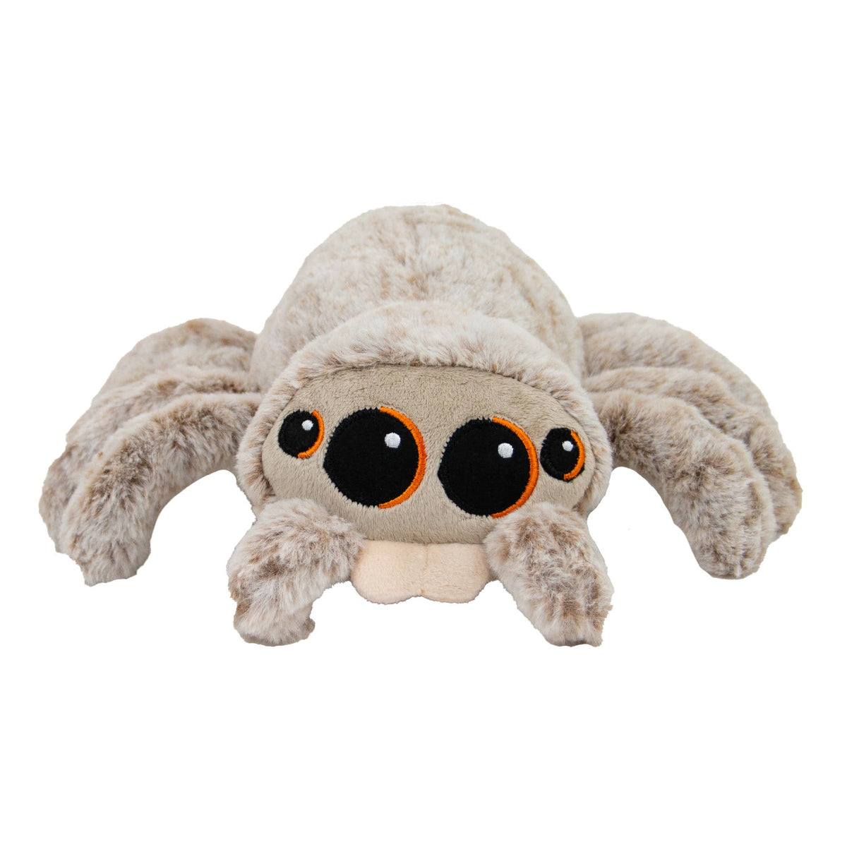 Ancol Sid the Spider plush dog toy with a cream and beige furry body, soft legs and large embroidered black eyes edged in orange.