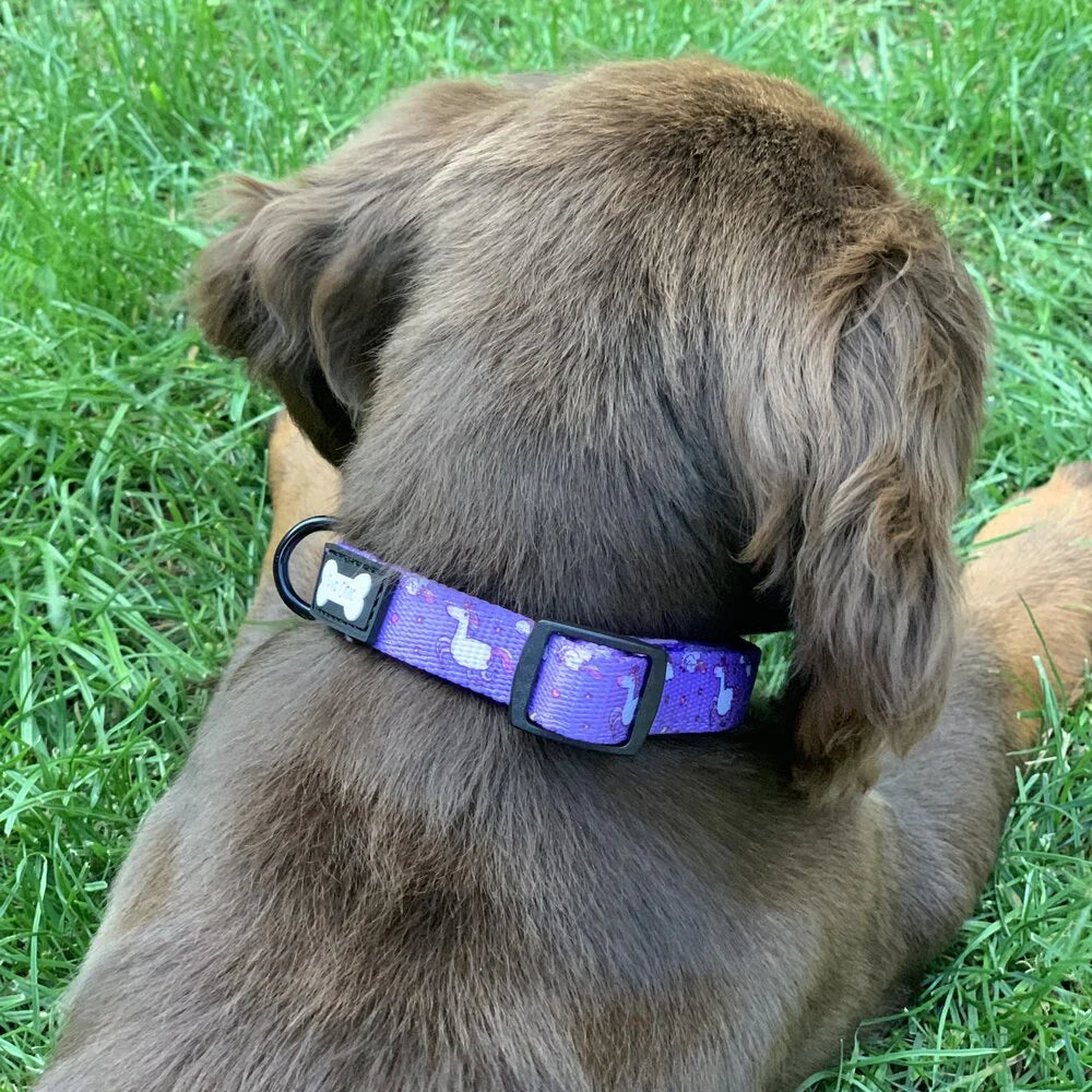 Pup Chic Daydreams and Unicorns collar