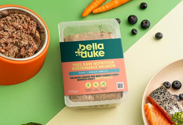 Bella & Duke Puppy Complete meal Fish