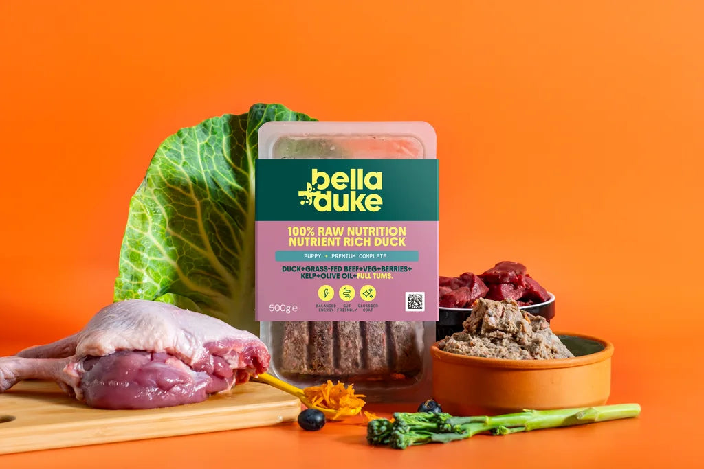 Bella & Duke - Puppy Complete meal working dog (R) beef