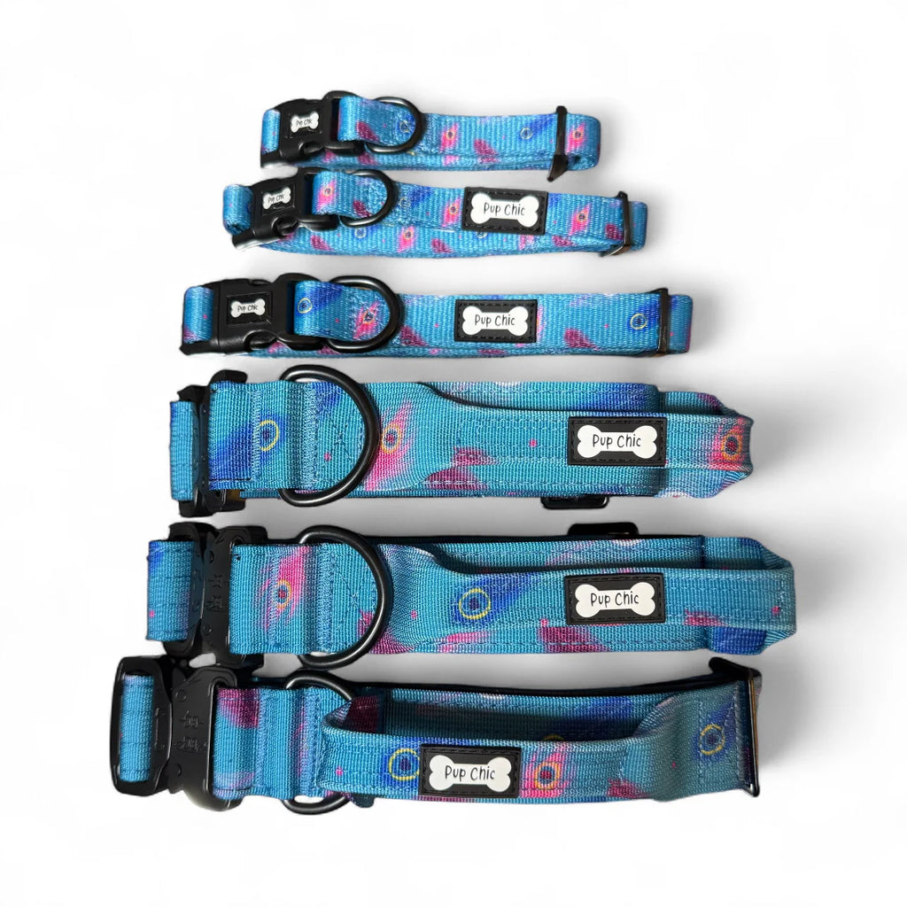 Blue Power Peacock Dog Collars - Adjustable and Tactical 🦚💙 - Pup Chic Boutique